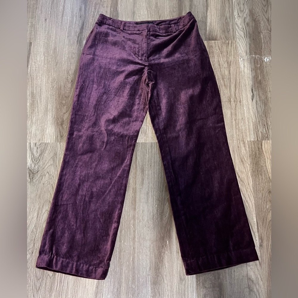 Women's Apostrophe Purple Velvet Pants